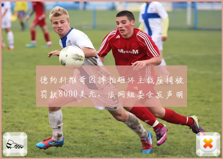 德约科维奇因摔拍砸坏主裁座椅被罚款8000美元，法网组委会发声明警告