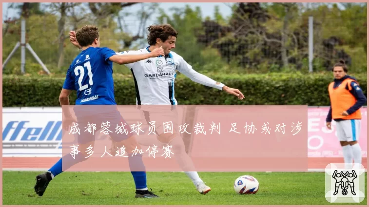 成都蓉城球员围攻裁判 足协或对涉事多人追加停赛